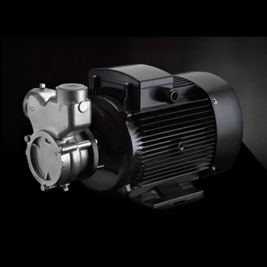 南方泵業(yè)QY（B），QYL（B）不銹鋼自吸氣液混合泵